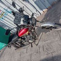 شاينك • ٢٣ • مرقمه