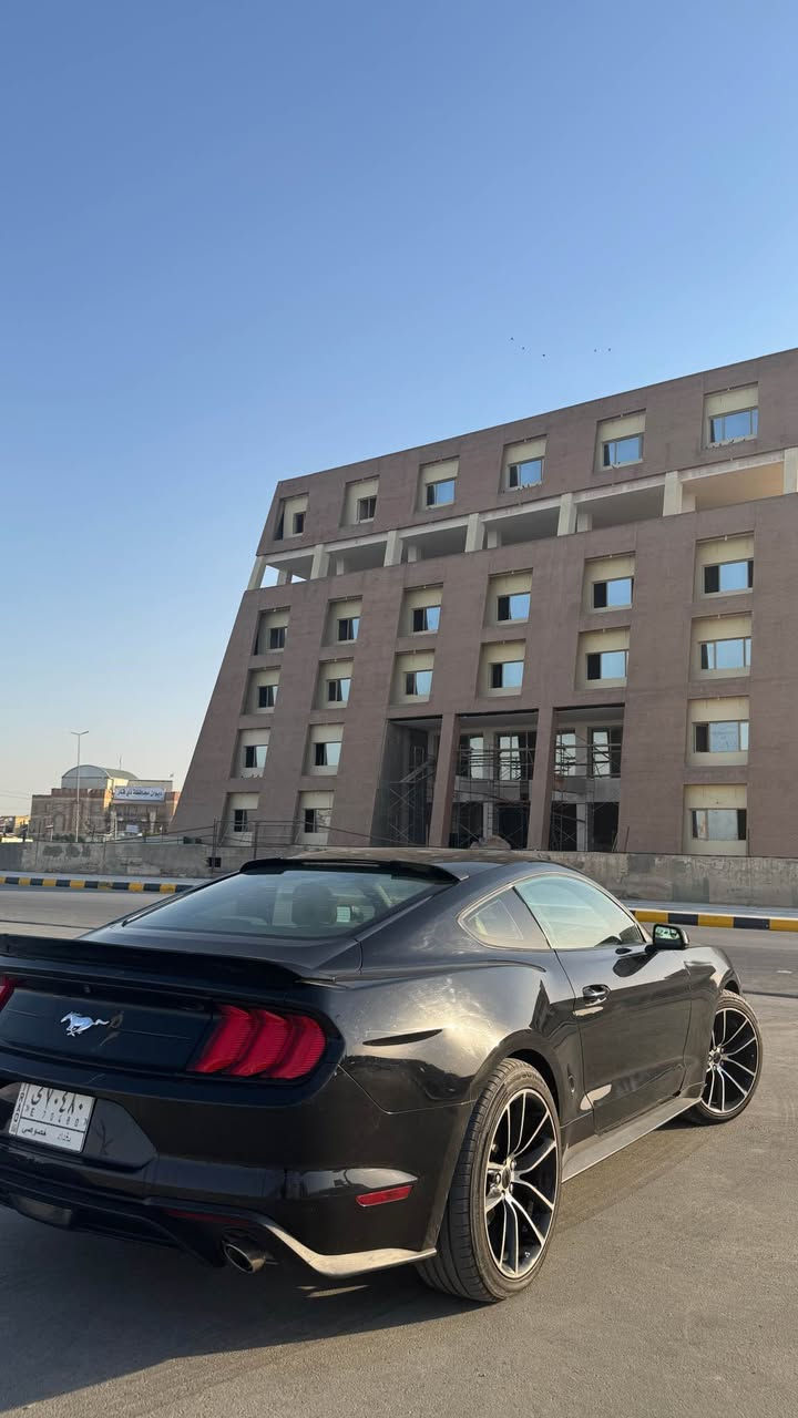 فورد موستنك موديل 18 رقم بغداد سنويه باسمي تحويل ثاني يوم السيارة على ايدي ما متعبه كير ومكينه كفاله تخم تاير جديد باتري جديد السياره حادثه قطعتين من امريكا جاملغ وبنيد مبدل جي تي بدون لغد ولا شاصي ويل عشرين دعاميه شيلبي كت كامل شيلبي شوته جي ال تي دفيوزر خلفي سبايدر خلفي شفقه جامه بلكات ريسنك السياره كلش حلوه ونضيفه ونصبته حلوه واذا شراي اساهلك بالسعر واذا مو شراي لا اتعبني سعره 135 وبيه مجال للشراي مكاني ناصريه *********** ناصرية, ذي قار
