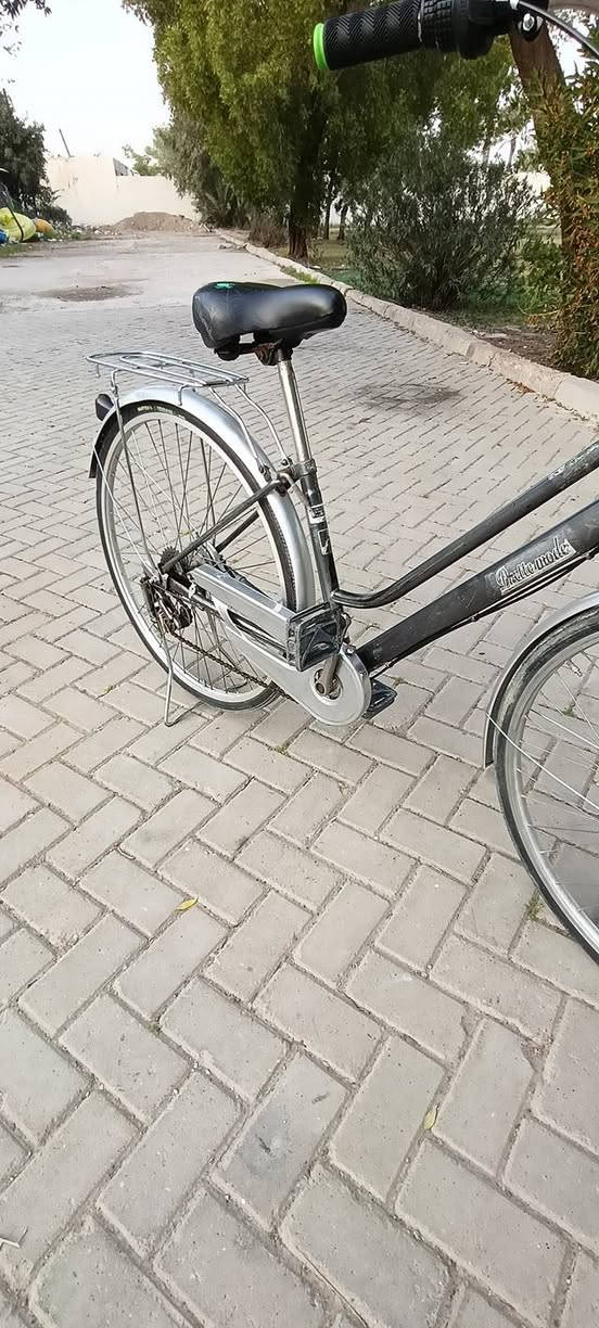 حجم 27
متصرف عليه فلس 
جاهز.. الزعفرانيه
ب 75 وبه مجال
***********
