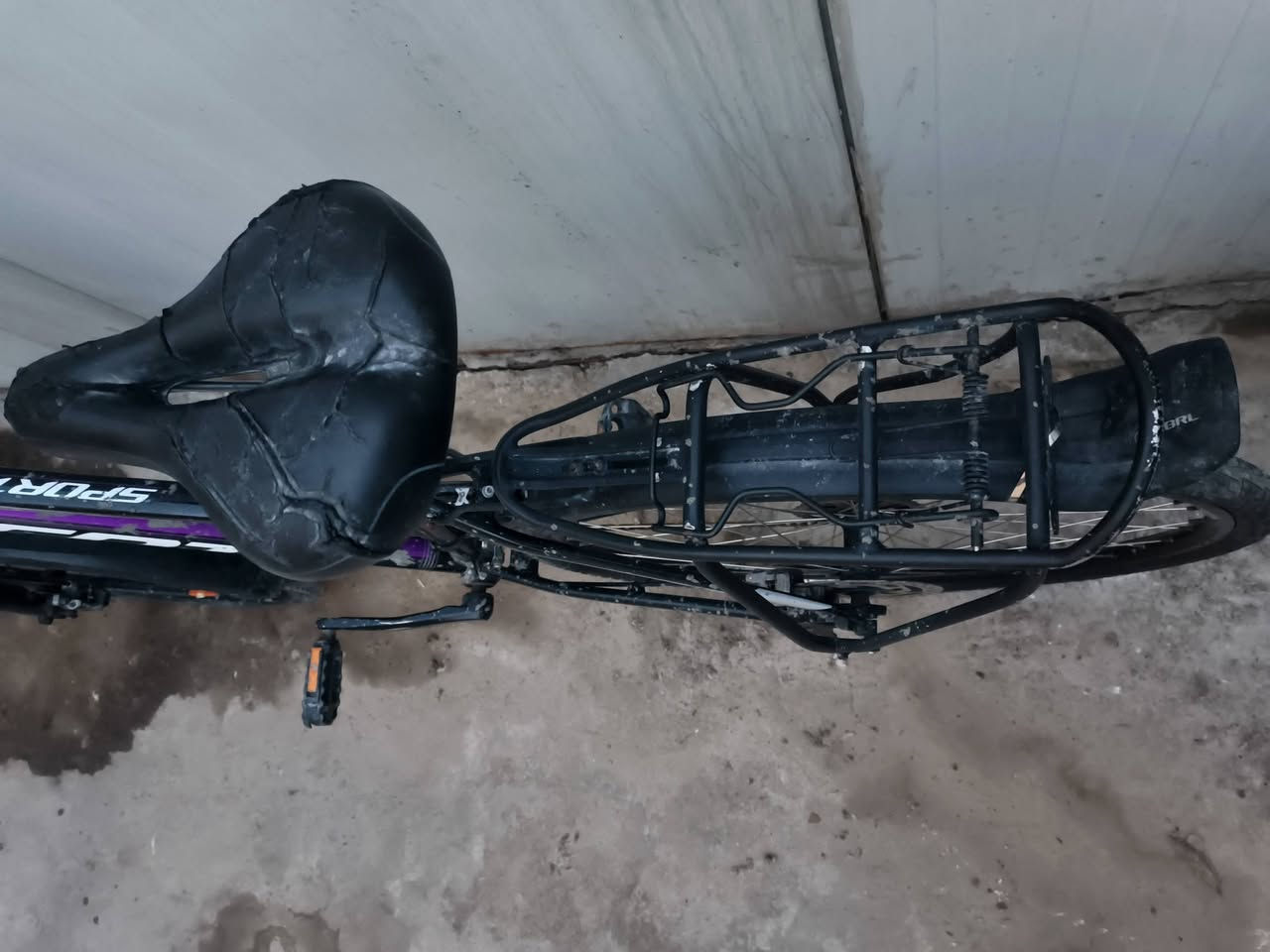 السلام عليكم بايسكل نوع سكوت مال ترحال حجم 26 m فوول اللمنيوم وزن جدا خفيف بي سستم شيمانو وتايرات كتان ودبلات اماميه وبريكات دهن عكرب 7نمرخلفي و3امامي 
ملاحظه البايسكل متروك يرادله تنظيف لان واكع عليه سمنت ومبين بالصور سعره 275وبي مجال حك جيه


**إذا كنت صاحب هذا الإعلان وتريد حذفه لأي سبب، رجاءا أرسل رسالة إلى الدعم الفني**