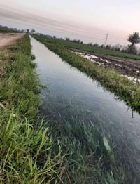 متوفر انسب عروض لاصحاب الامكانيه القليله ✅🌴 متوفر اراضي دوانم مساحات م...