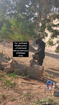 تقطيع أشجار • مجانا • أشجار عالية