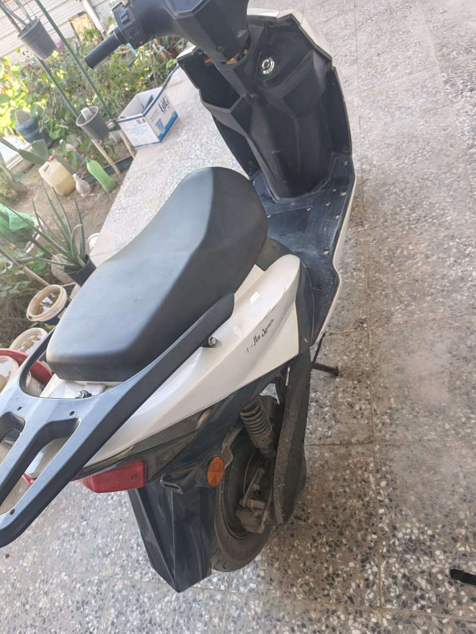 دراجة سكنس 2025
دراجة نظيف جدا 

مستخدمه استخدام منزلي 

شاحنتها اصليه (تقبط شحن وتفصل وحدها يعني خليه على الشحن وروح نام ) 

:

 السرعة توصل لـ 70 كم/س

 البطارية تمشيك تقريبًا ساعة ونص تشغيل

 شحن كهرباء بيت عادي

 هادئ جدًا أثناء المشي

 كرسي مريح

 مرايات جانبية

 إضاءة أمامية وخلفية

 بريك أمامي وخلفي

 وياه خوذه هدية 🎁 

وستان مبايل هديه 

وسيار كهرباء طوله ٥ متر هم هديه 

السعر ٥٥٠ من الاخير 

مكاني البياع 

راسلني وتدلل


**إذا كنت صاحب هذا الإعلان وتريد حذفه لأي سبب، رجاءا أرسل رسالة إلى الدعم الفني**