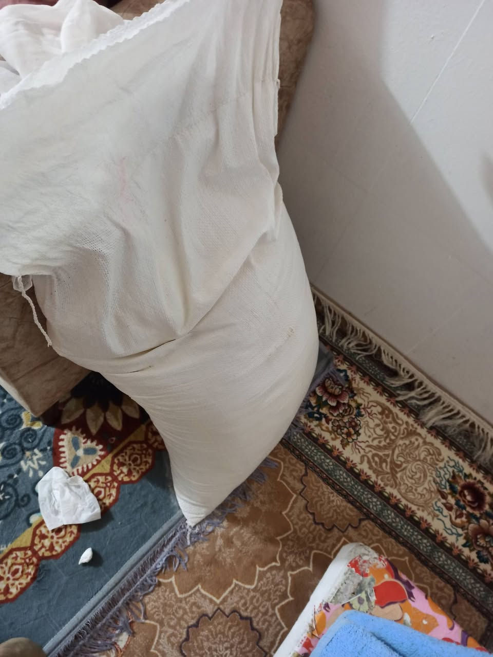 سلام عليكم
عندي گونيتين طحين و٤٠ كيلو للبيع ٤٥ الف  الله شاهد نضيف على التبريد لابيه دود ولاريحه


**إذا كنت صاحب هذا الإعلان وتريد حذفه لأي سبب، رجاءا أرسل رسالة إلى الدعم الفني**