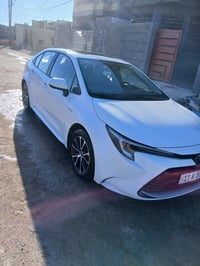 كورلا ٢٠٢٥ • فول • كفاله عام