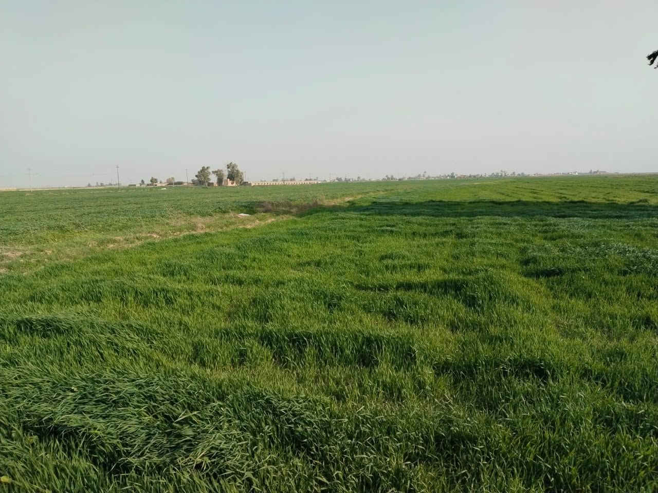 اعلان رقم (809)
قطعة ارض طابو للبيع 
مساحة/10 دونم 
العنوان/قرية جرداغلي 
السعر/دونم 10مليون
-----------------------
للاستفسار اكثر مراجعة مكتب محمد الواقع في فلكة راس فرع جامع الامام علي او اتصال بالارقام التالي 
***********
***********
نستقبل كافة عروضاتكم سكنية وتجارية في كافة المناطق طوز و كركوك...
