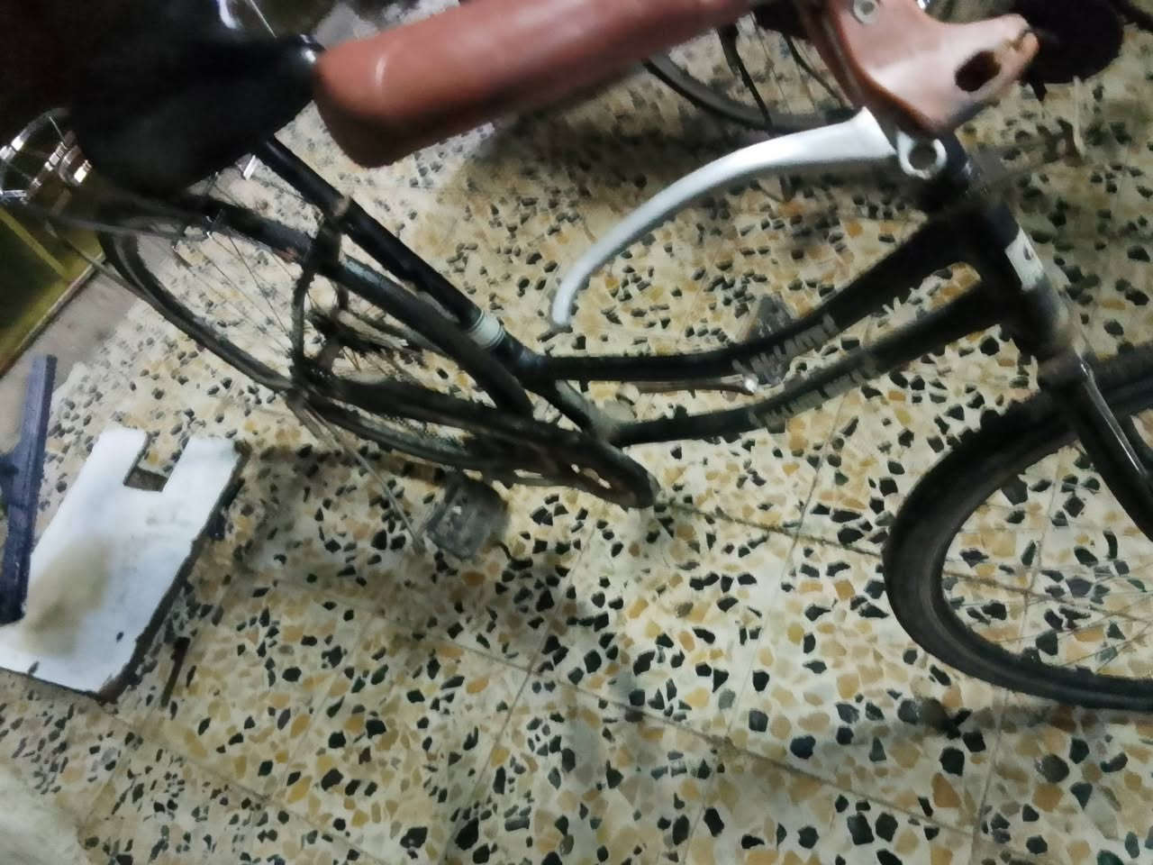 سلام عليكم شباب بايسكل البيع نضيف ويا بس مدكر كدام ودرع حجم 26 سعره 35 وبي مجال لمو شراي لا يراسني رحمه اهلكم مكاني ميسان يريده يجي خاص


**إذا كنت صاحب هذا الإعلان وتريد حذفه لأي سبب، رجاءا أرسل رسالة إلى الدعم الفني**