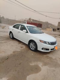 أوبتيما • ٢٠١٠ • النجف