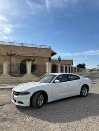 جارجر • ٢٠١٩ • بدون دواخل