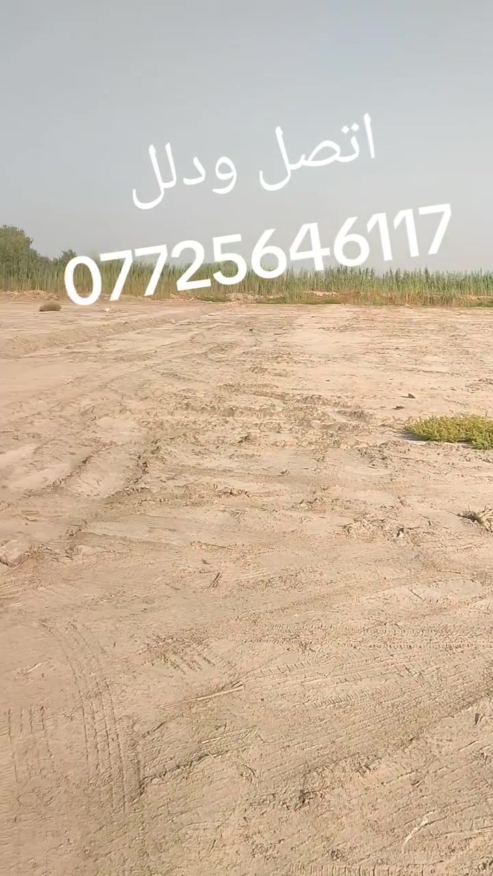 دوانم للبيع .....
هاتف  ***********
كوت طريق العمارة حي الحكيم الثانيه قرب الصومعه قرب السيطرة كوت عماره كافت الخدمات أساله ماء صافي وحصت ماء سقي وكهرباء ميتين متر عن الشارع العام
