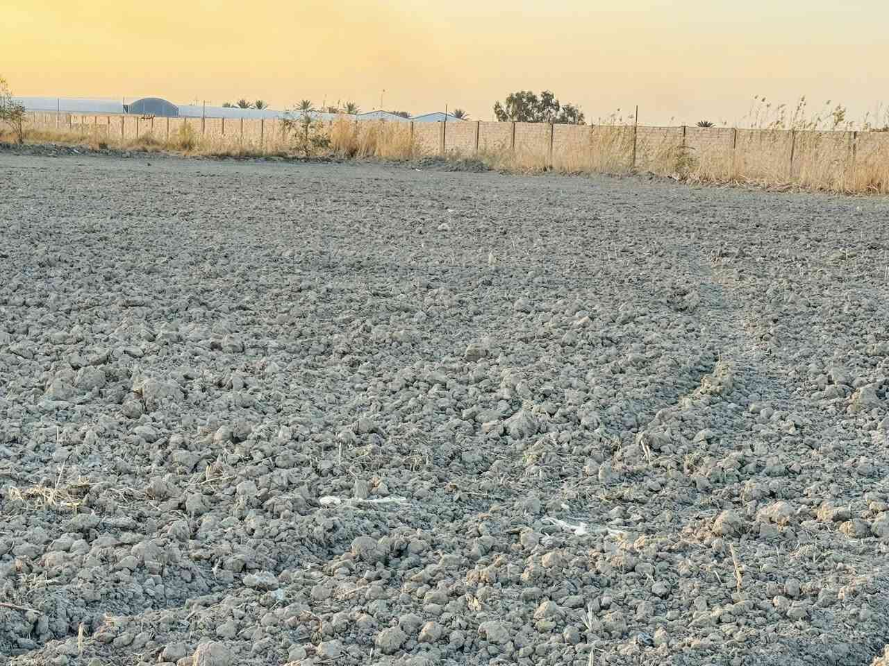 أرض زراعية مساحة( 4 دونم )  ، عقد زراعي ١١٧ ( عبد الكريم قاسم ) .
، تقع في منطقة ام نعجة ، طريقها  عمود ٢٥٦ طريق نجف - كربلاء. او مفرق الكفل قرب سيد يحيى 
يتوفر فيها كافة الخدمات ( ماء سقي - ماء اسالة _ كهرباء )

للاستفسار خـــــــــــاص او اتصال  ***********
