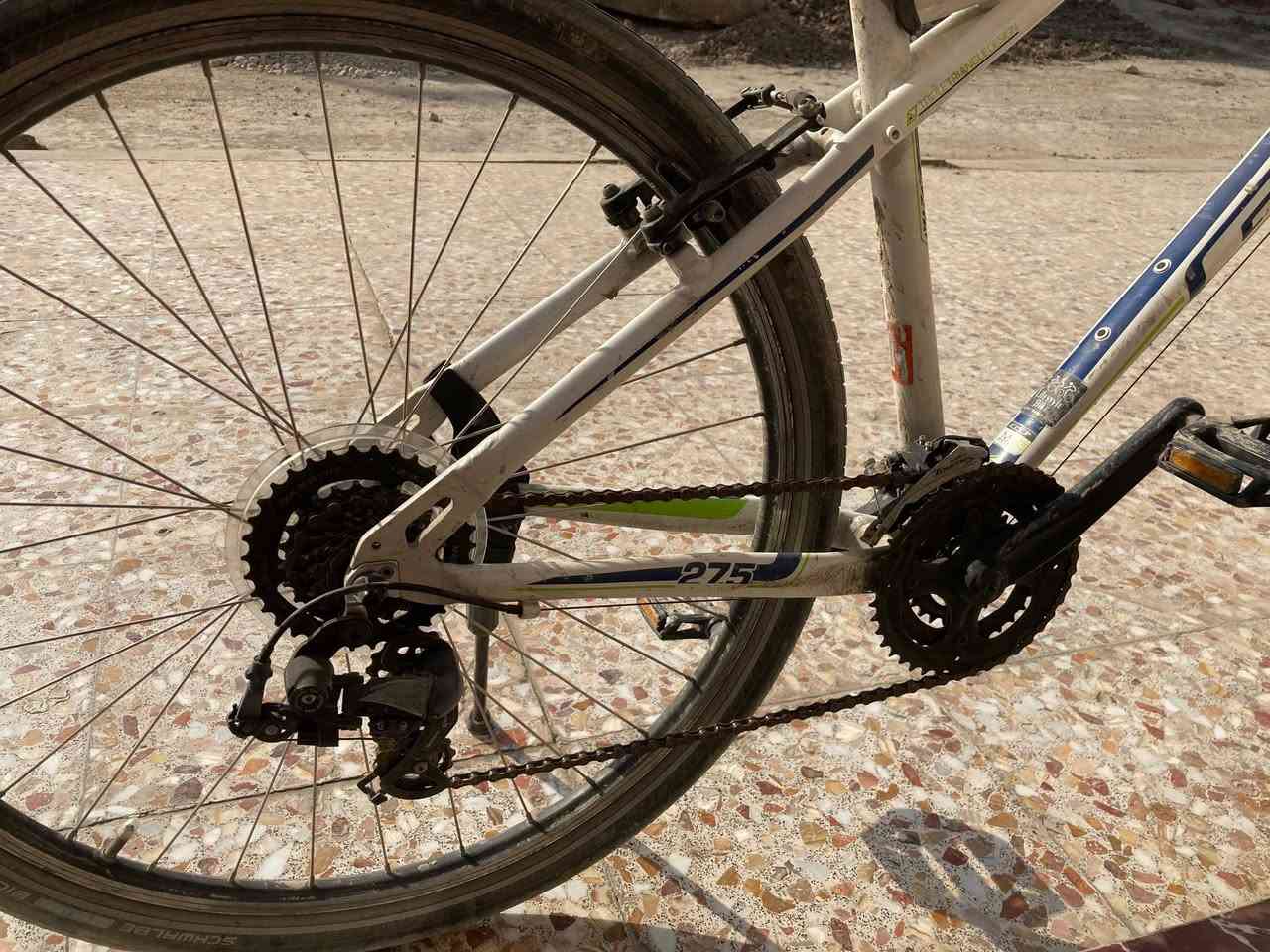 السلام عليكم 
حبايب بايسكل GT
حجم 27.5
اشتريتة واريد ابيعة لأن اني مدخن واتعب من اسوق
السعر 200 بي مجال 
مكاني حلة 
***********
