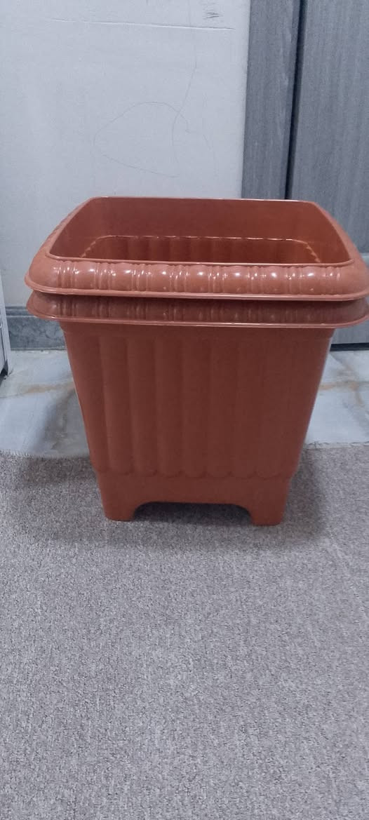 متوفر حاليا احجام كبار


**إذا كنت صاحب هذا الإعلان وتريد حذفه لأي سبب، رجاءا أرسل رسالة إلى الدعم الفني**