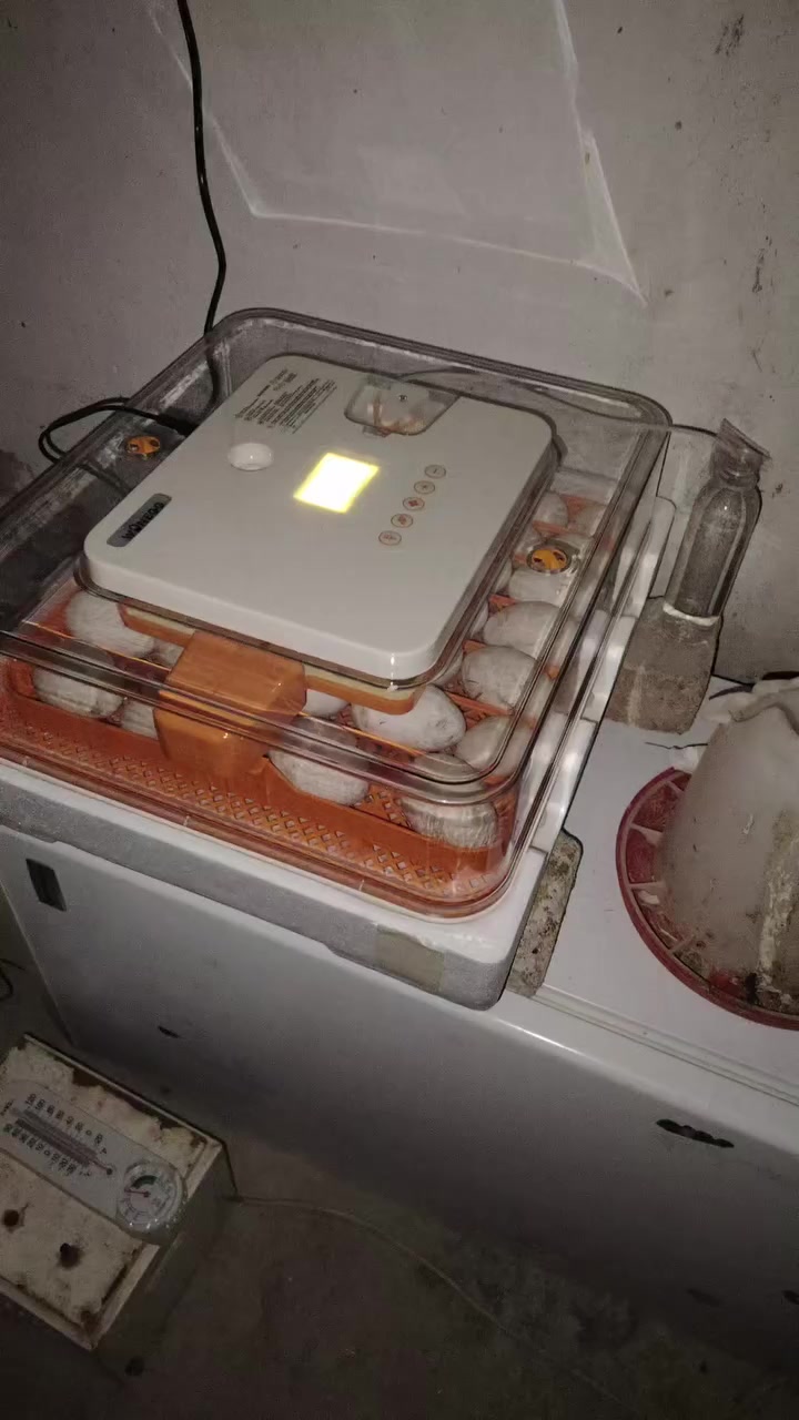 لبيع اوتوماتيك فول ***********
***********
مكان برطله
