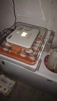 فول اوتوماتيك • للبيع • برطله