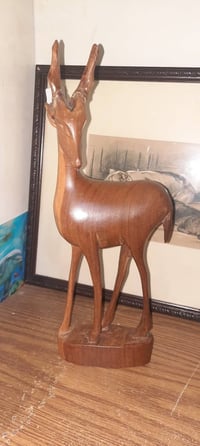 القرون • ضرر • لاصقيهن