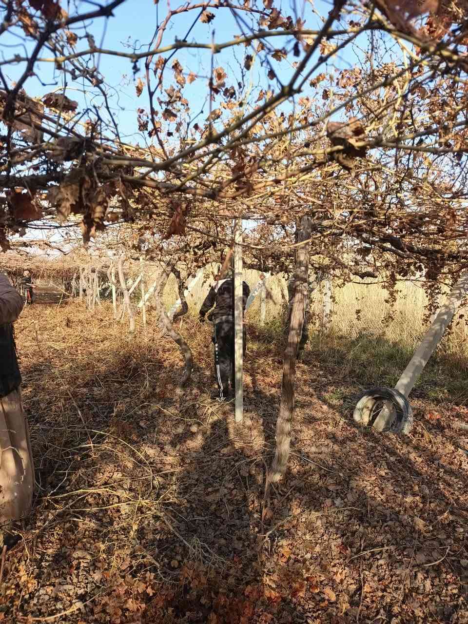 بسم الله ماشاء الله تبارك الرحمن يوجد كادر كص عنب كادر كامل مكمل انته عليك اتصل وتدلل رقم الهاتف  ‏‪***********‬‏
