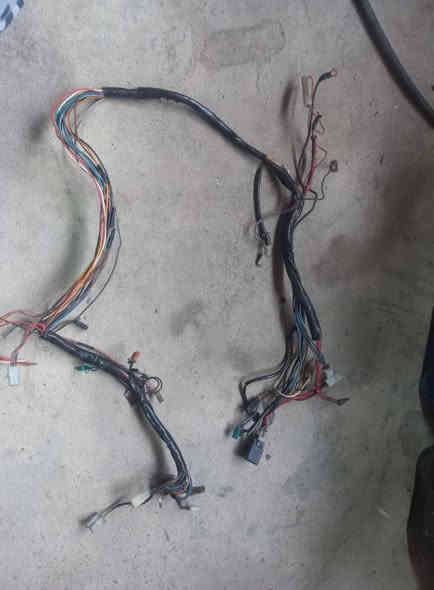 سوادات بيجي بلاد كلهن ب25 الف 
ضفيرة بيجي كاملة بدون اي نقص السعر18 الف 
العنوان ديالى بعقوبة 
الرقم***********
