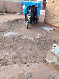 ستوته • موديل ١٩ • بل حويجه