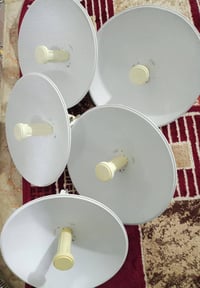 نانوات بور بيم • أصلي • مكاني الرمادي