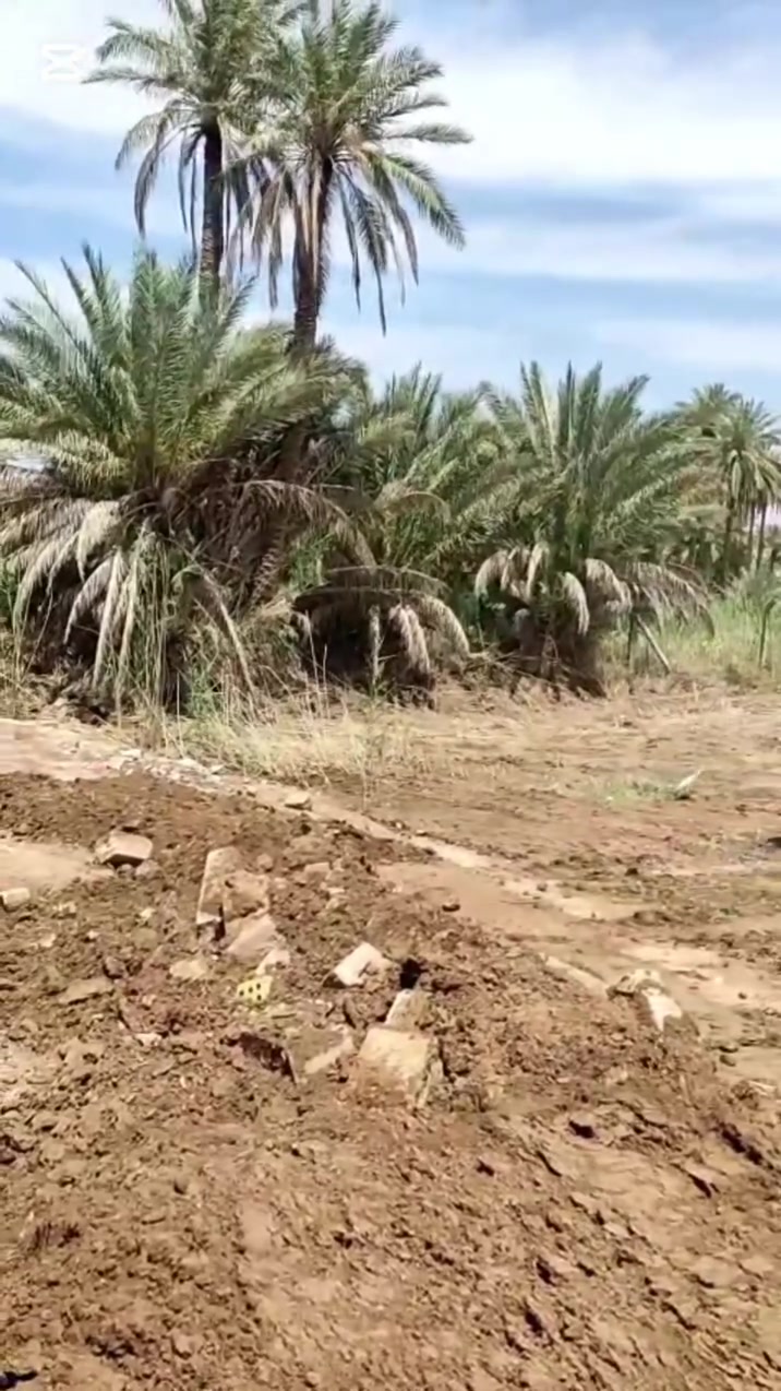 بسم الله الرحمن الرحيم.
     فرصة لا تعوض لمتلاك شيء جميل وهادي ومنظر زراعي في ارض الطهارة والقدسية ارض الحسين 
 فرصة لا تعوض ومسافة كلش قريبة عن مرقد الامام دونم للبيع المساحة 2500 متر يحتوي بيت بناء 250 متر البناء هيكل يحتوي على استقبال كبير و سويد عدد اثنان وحمامات داخلية وهول كبير واستقبال وصالة ومطبخ كبير موسس ماء ومجاري كامل مثبت حدود الدونم بسياج بيارسي ومثبت في الطابو الحدود سند 25 مسجل بسمي يحول بسم المشتري الموقع كربلاء -منطقة الدويهية خلف المعهد الفني خمسة كيلو متر ويبعد عن مركز المدينة 15 كيلو متر يصلح سكن او منتجع سياحي يحتوي على نهر جاري طول فصول السنة للري الزرع الأرض خصبة وصالحة للزراعة رقم المالك

(***********)
