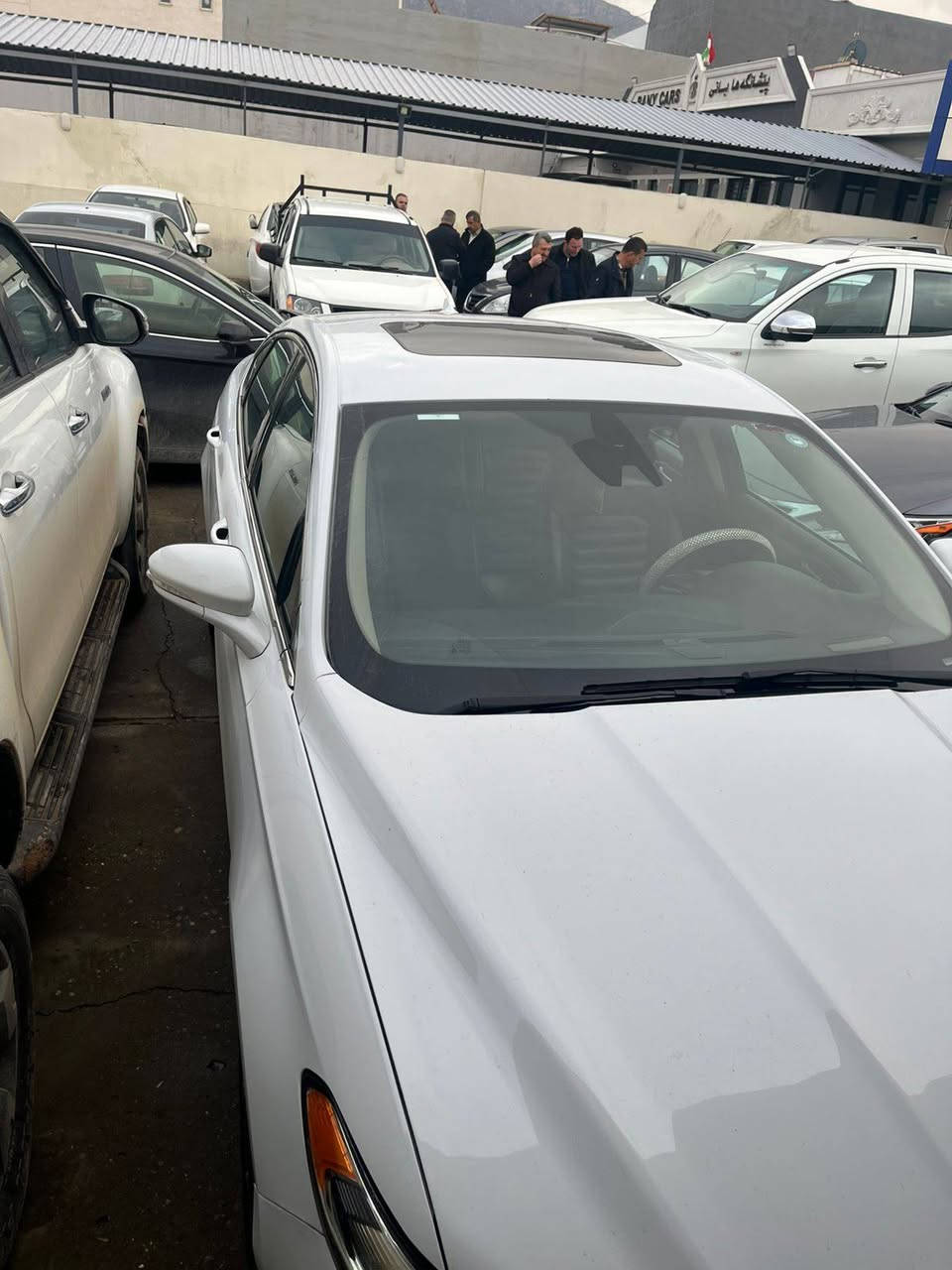 السلام عليكم...
فورد فيوجن  SEL
الموديل :- 2019
حجم المحرك :- 1500 تيربو 
المواصفات :- بصمة ابواب امامي/ بصمة تشغيل  / فتحة سقف / كشنات جلد وكهرباء /كشنات هيتر / كير ماوس / رادار امامي / تحديد مسار / تشغيل عن بعد
 ..وباقي مواصفات الSEL المعروفة 
السعر:- $13,500 وبيها مجال تعامل
الممشى :-  107000 ميل  وقابل للزياده
الضرر ربع بوند صبغ بدون ايربك 
 مكانين تعديل بارد والدعانية الخلفية
 تحويل مباشر  
للمزيد من المعلومات الاتصال على الارقم ويوجد واتس اب :- 
***********
