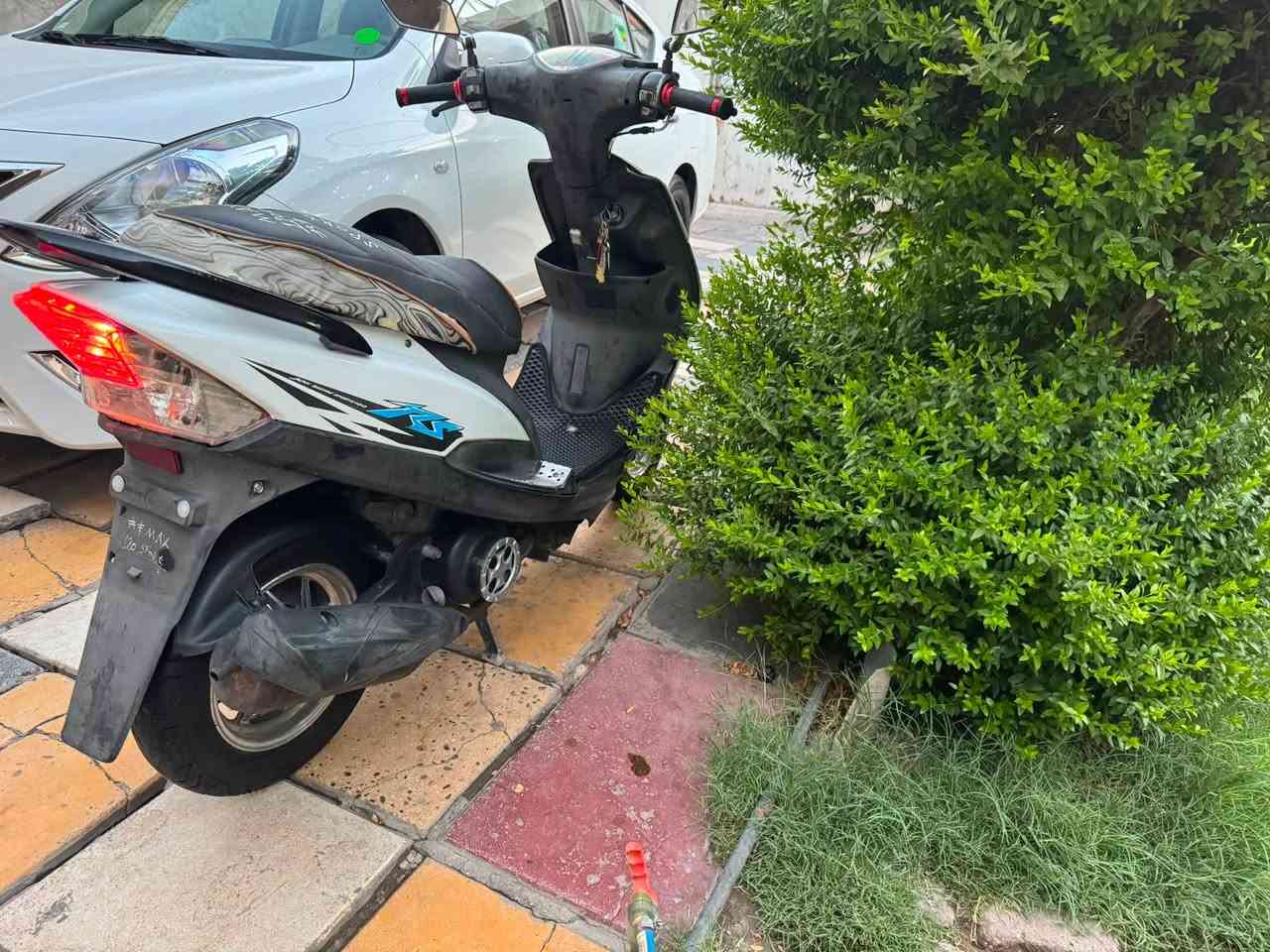سلام عليكم للبيع ماكس عدله دراجه نضيفه نكره سلف ناعمه شلعه معدل السعر 650وبيه مجال للاستفسار. ***********بغداد حي القاهره
