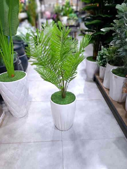 سنادين اشجار اصطناعية موديلات جديدة 
التفاصيل والاسعار مرفقة اسفل الصور 
للاستفسار مراسلة الصفحة او الاتصال على 
الرقم *********** العنوان خانقين 
دارة كونارة مقابل مطعم شاره كه م ..
