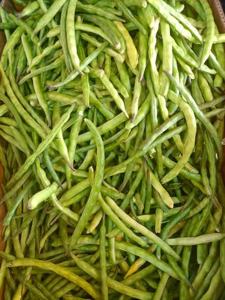 صلو على الحبيب قلبك يطيب

بسم الله ماشاءالله 

خيرات اليوم الاربعاء 2025/11/19

#يوجدلدينا #خدمة #توصيل #كافت #مناطق #ابوغريب

اتصل يوصلك طلبك اباب بيتك

الفرع الاول خرنابات شارع السچه 

***********///***********

#يوجدلدينا #دجاج #ذبح #عراقي

#اسعارنا #اليوم #غير #شكل

بصل صاجي 750 
بصل كرستال 750
بصل حار 750
بصل اخضر 750
اسود عراقي 750
شلغم 750
قرنابيط 750
اشوندر 750
شجر 750
طماطه  750
بطاطا عراقيه 750
لهانه حمرة 750
لهانه خضرة 750
ذرة 🌽عراقيه 750
ركي عراقي 750🍉🍉🍉
اخيار عراقي 1000
فلفل بارد 1000
فلفل حار 1000
فلفل الوان 3000
ثوم  كيس 1000🧄🧄
ثوم مصري كيلو3000🧄🧄
خس عراقي  1000🥬🥬🥬
جزر  1000🥕🥕
اسكله 1000
فاصوليه عراقيه 2000
لوبيا 1500
شمام 1500
كستنه 5000
