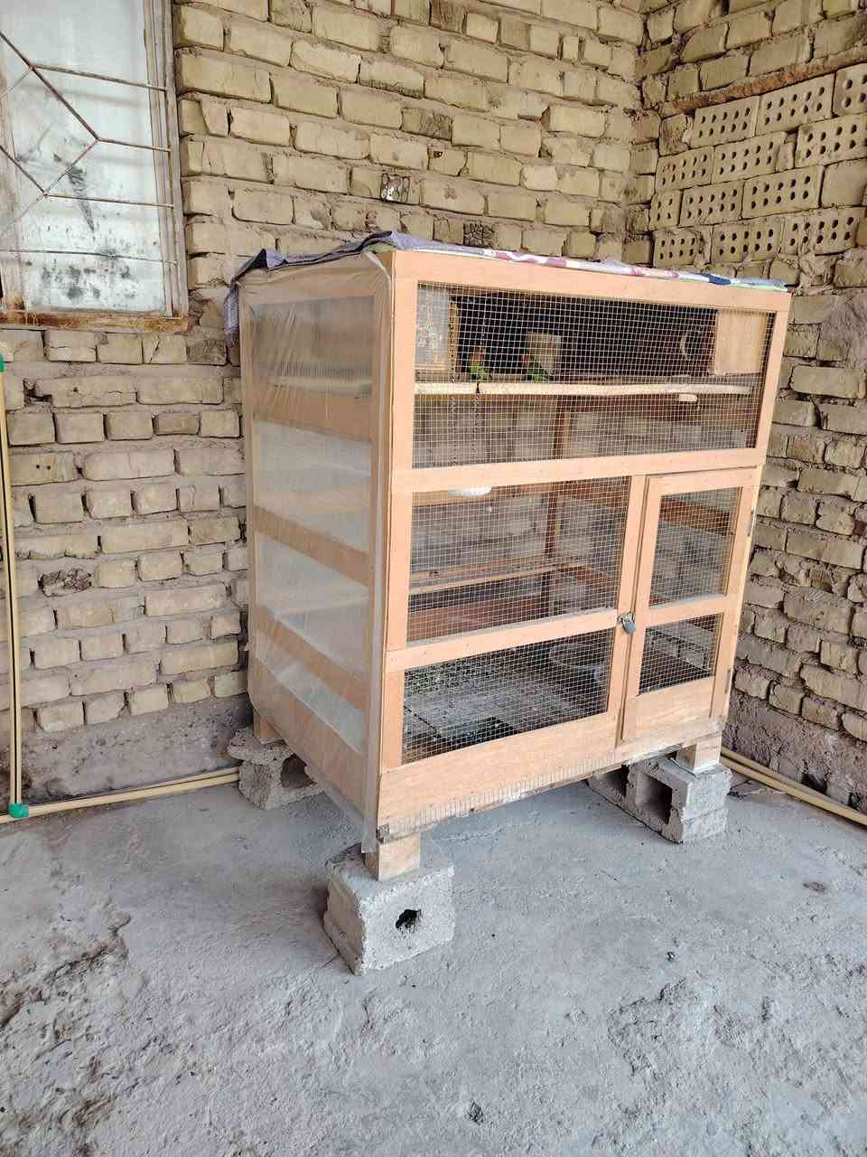 قفص احطاطه مرتب وقندورات 9
8 خضر و1 صفره
للبيع شلع قفص كامل هوه والقندورات العدد 9 
سعر  225
مكان فلوجه يم مرطبات مشمشه
الرقم ***********
