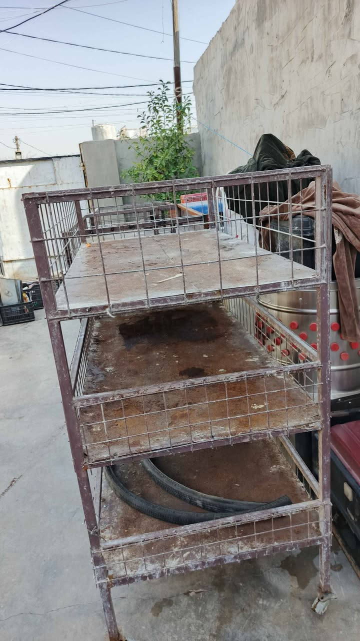 ‎ميوزه  اقفصه لبيع ثلاثه 100‎ كركوك, العراق


**إذا كنت صاحب هذا الإعلان وتريد حذفه لأي سبب، رجاءا أرسل رسالة إلى الدعم الفني**