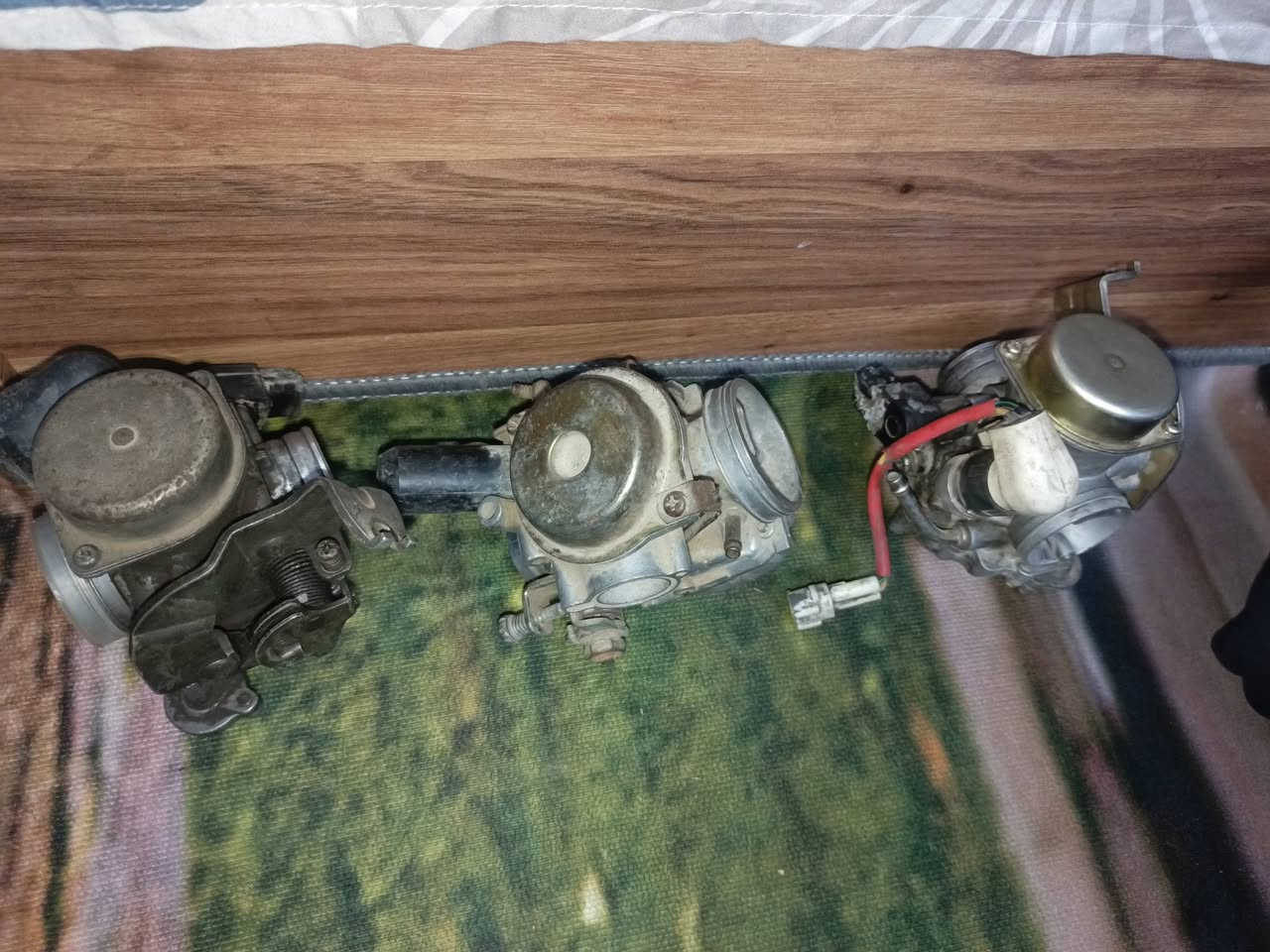 السلام عليكم كابريترات ٢ مال سكنس فحل وحده مال فراشه يرادلهن تنظيف قيم وأخذ مكاني  العبيدي ***********
