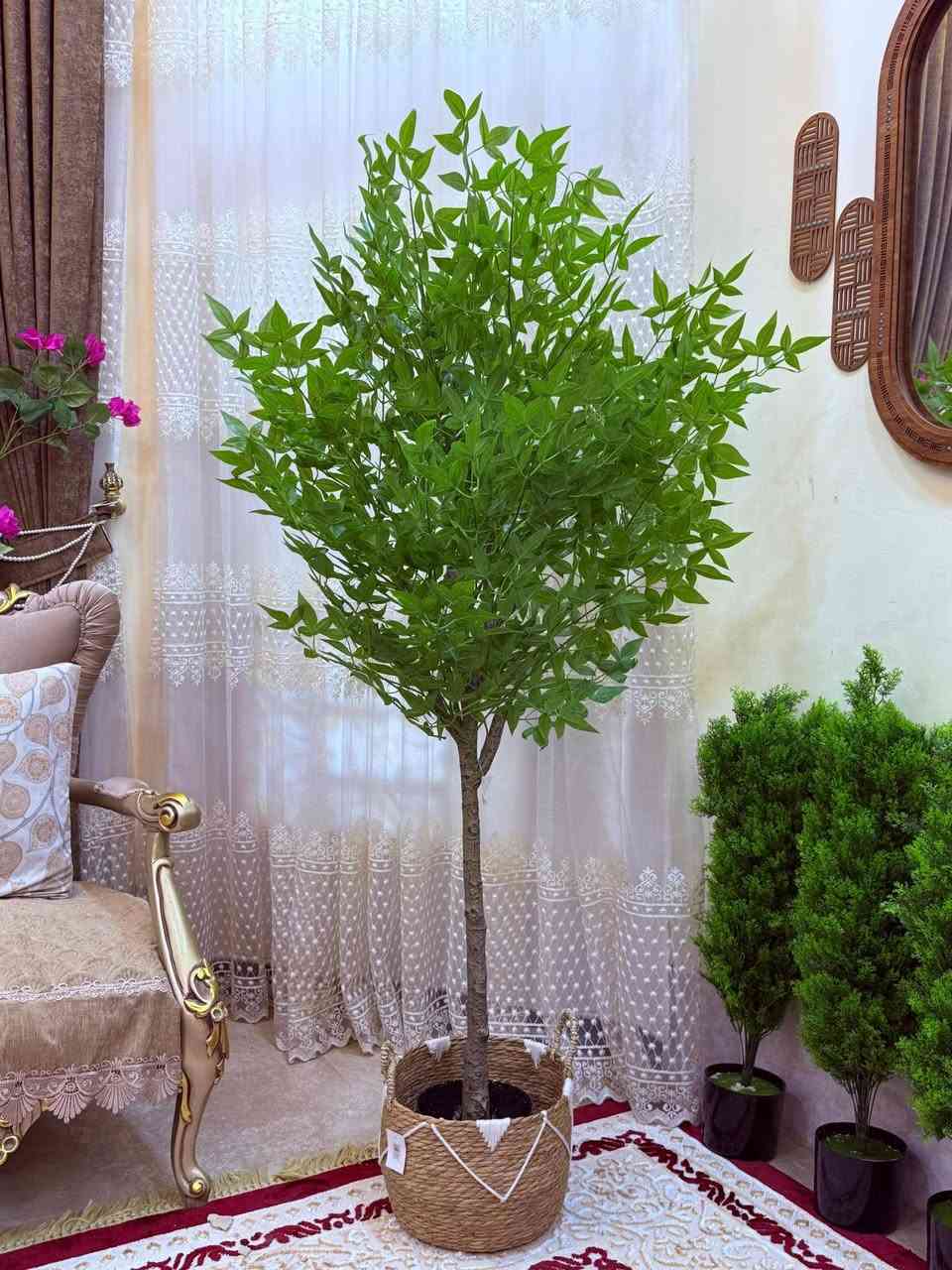 عرض خاص بمناسبه عيد الأضحى المبارك سعر الشجره ٤٥


**إذا كنت صاحب هذا الإعلان وتريد حذفه لأي سبب، رجاءا أرسل رسالة إلى الدعم الفني**