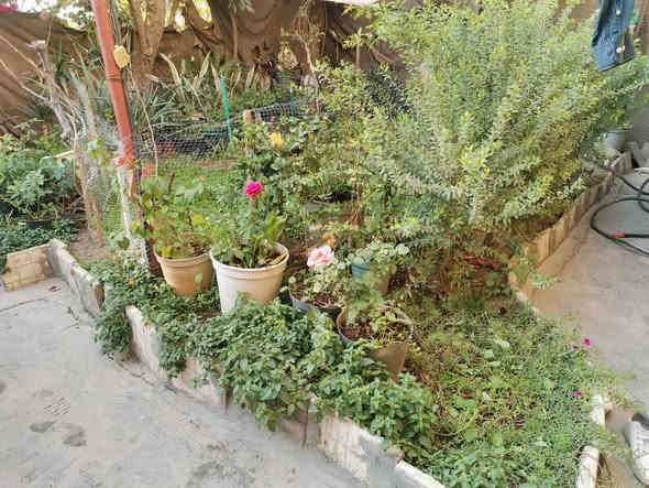 دار للبيع مساحته ٢٤٨ متر  يحتوي على استقبال وهول ومطبخ غرفتين نوم حمام داخلي البناء كونكريت مسلح وطابوق عدا الغرفتين مخلوط فرمستون وطابوق السطح مطبك فرشي درجه اولى بنسبه للتسليط لبخ سمنت داير البيت عدا الوجه المطبخ سيراميك جميع جدرانه صحيات خارج.   طارمة كراج سيارة كبير يكفي سيارتين حديقة داخليه وخارجية  النقص فقط  الارضية صبة مرتبة  وسياج خارجي بي ار سي وجادر فقط السعر ٧٥ وبي مجال للمشتري  عنوان. حلة.  الابراهمية.شارع المركز.حي الزهور.يبعد عن الشارع العام ١٥٠ متر والتبليط لحد باب المنزل للاستفسار الاتصال على الرقم ***********
