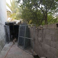 سياج قطع باب طلكتين بي آر سي حديد  الدوره هوررجب الاستفسار 07883676667