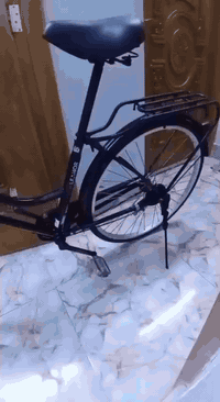 بسكليت • حجم 26 • دور النفط