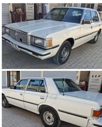 82 وضع الشركة فقط صبغ جوة الترايش بدون خياس بأسمي سنوية ل 30  كهربائيا...