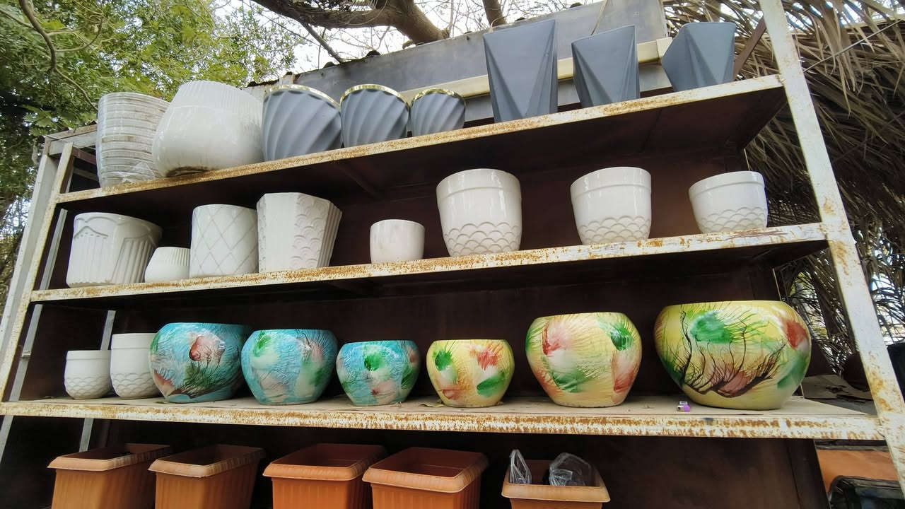 ﷼ اللهم  صلي على محمد وآل محمد 
يومكم مبارك 🪴 
عروضنه اليوم داخل مشتل النورين 🎋🪴🎍
توفر كافة أنواع الحمضيات 🌿🍋🍊🍇
وكذالك أنواع الورود الداخليه والخارجيه 
ورد الجهنمي المتسلق بئلوان مختلفه 🌹🌸💐
 عنوانه #شارع_الغطاس_خلف_المجمع_السوري 🏕
 لطلب و الاستفسار 🚖🚘
 ***********📞
***********📞
