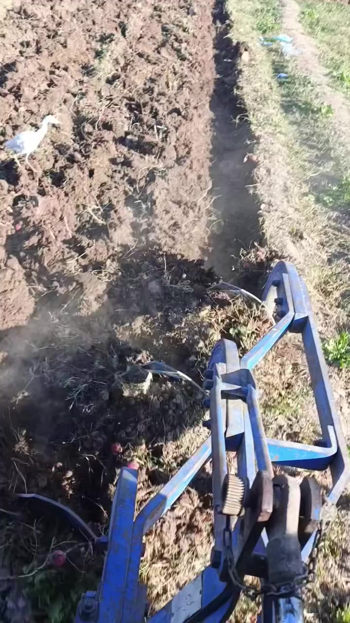 السلام عليكم فيدان للبيع حجم11البير تركي المكان ابو غريب السعر مليون و  ٣٠٠   للتصال70516884541,,***********
