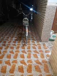 بسكليت • مستعمل • طعج خلفي