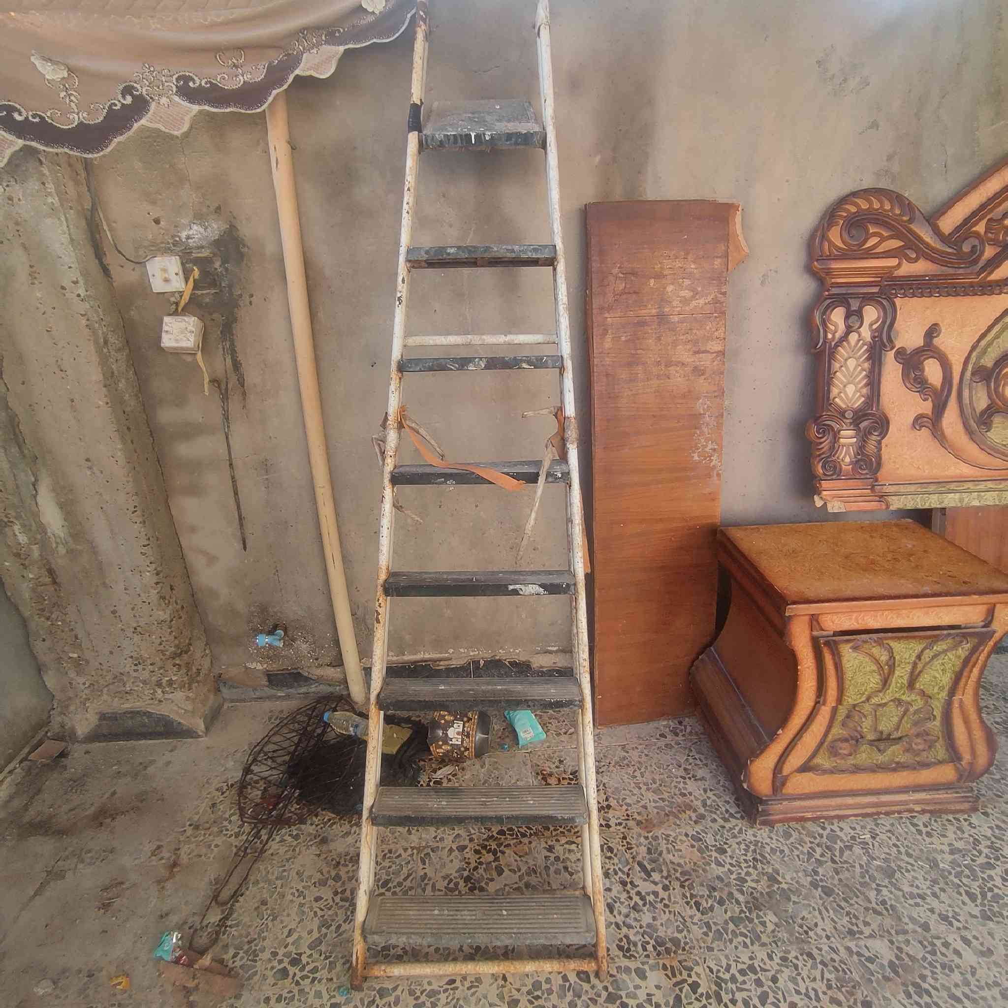 للبيع كلمن وسعره
***********
