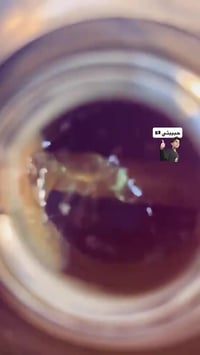 هوندا • ٢٠٢١