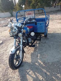 ستوته • مديل21 • مكفولة