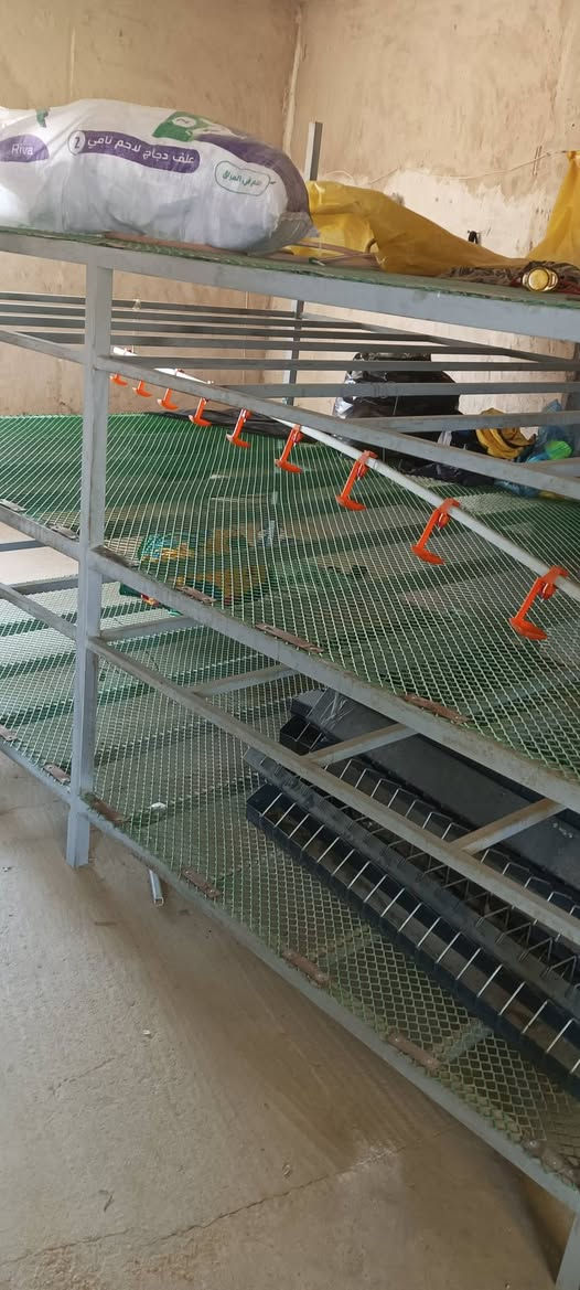 السلام عليكم قفص لتربيه الدواجن ثلاث طوابق 
الطول 3امتار العرض 2متر حديد مرتب مثل ما موضح بالصوره السعر اتصل على رقم ***********
او المراسله خاص
