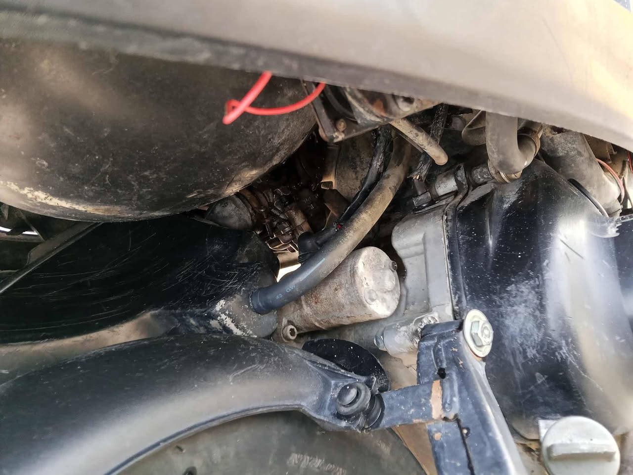 للبيع ماكس عدله خير من الله كله شغاله عادات بانزبدين اشاير ختم واحد الشراي يتفضل خاص


**إذا كنت صاحب هذا الإعلان وتريد حذفه لأي سبب، رجاءا أرسل رسالة إلى الدعم الفني**