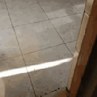 ان شاءالله ينال عجابكم خواني كرار الگريطي 07815333649 حالين متفرغ وانس...