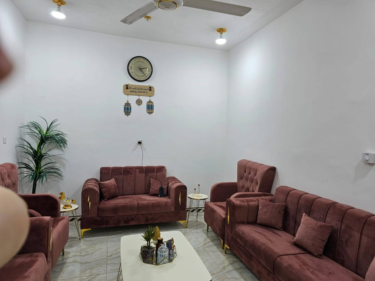 تخم قنفات عشر مقاعد للبيع سعره 500


**إذا كنت صاحب هذا الإعلان وتريد حذفه لأي سبب، رجاءا أرسل رسالة إلى الدعم الفني**