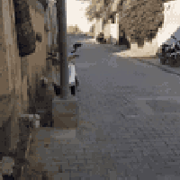 الوحدة الثانية • ١٨٠م • طابقين