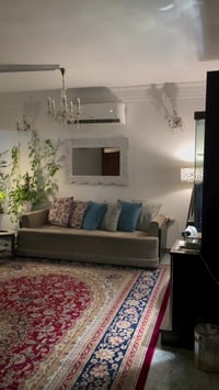 هول متكامل • قنفات ٤ مقاعد • زولية ٥×٣