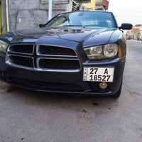 جارجر • ٢٠١٤ • بدون صبغ